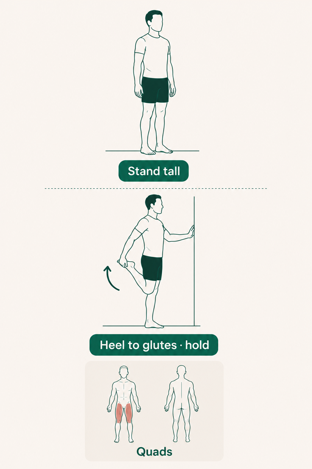 Standing Quadriceps Stretch