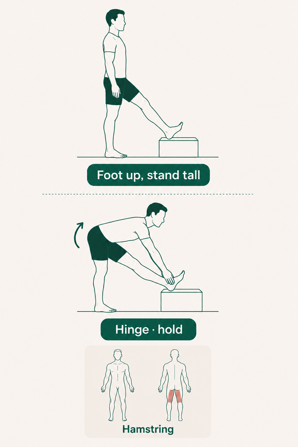 Standing Hamstring Stretch