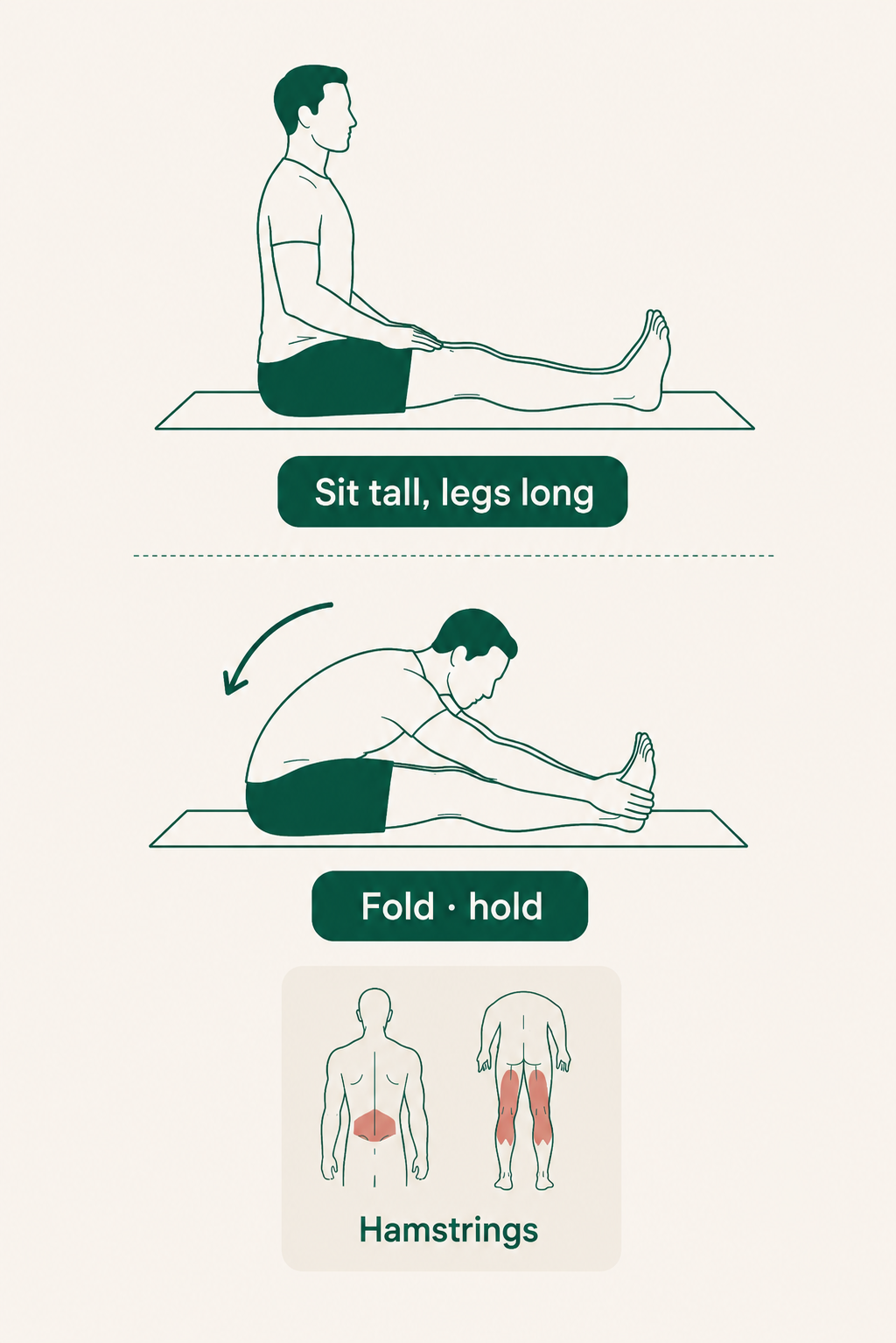 Seated Forward Fold