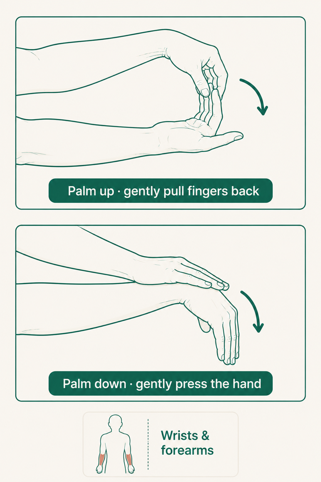 Seated Wrist & Forearm Stretch