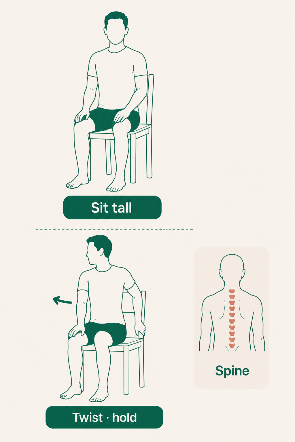 Seated Spinal Twist