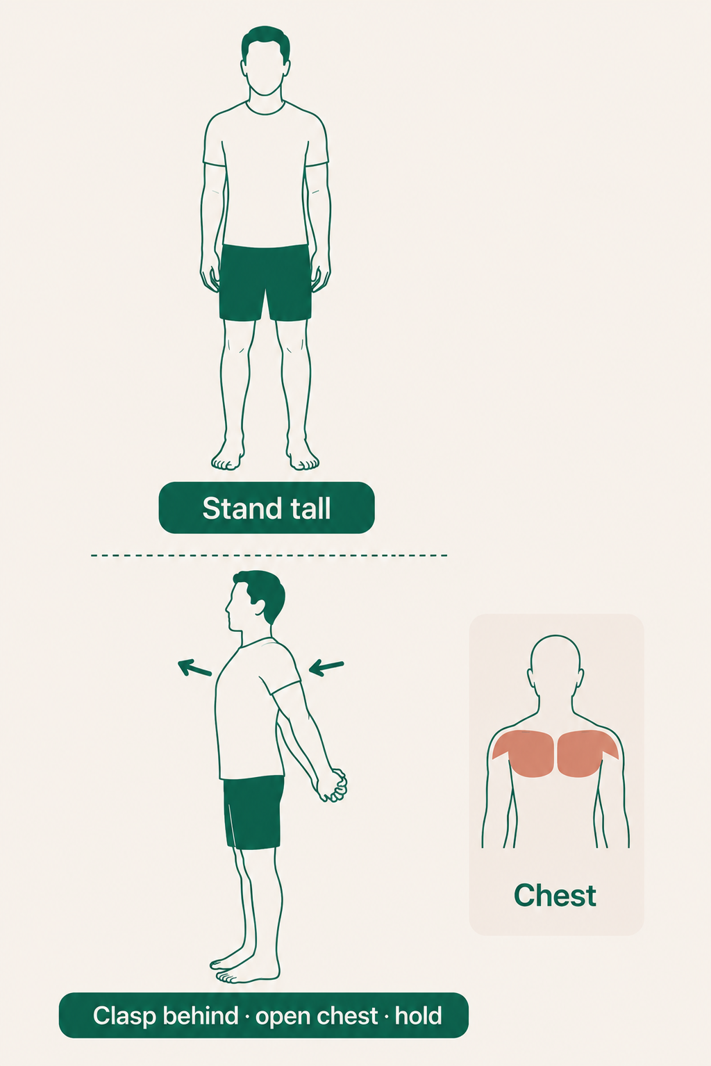 Standing Chest Opener