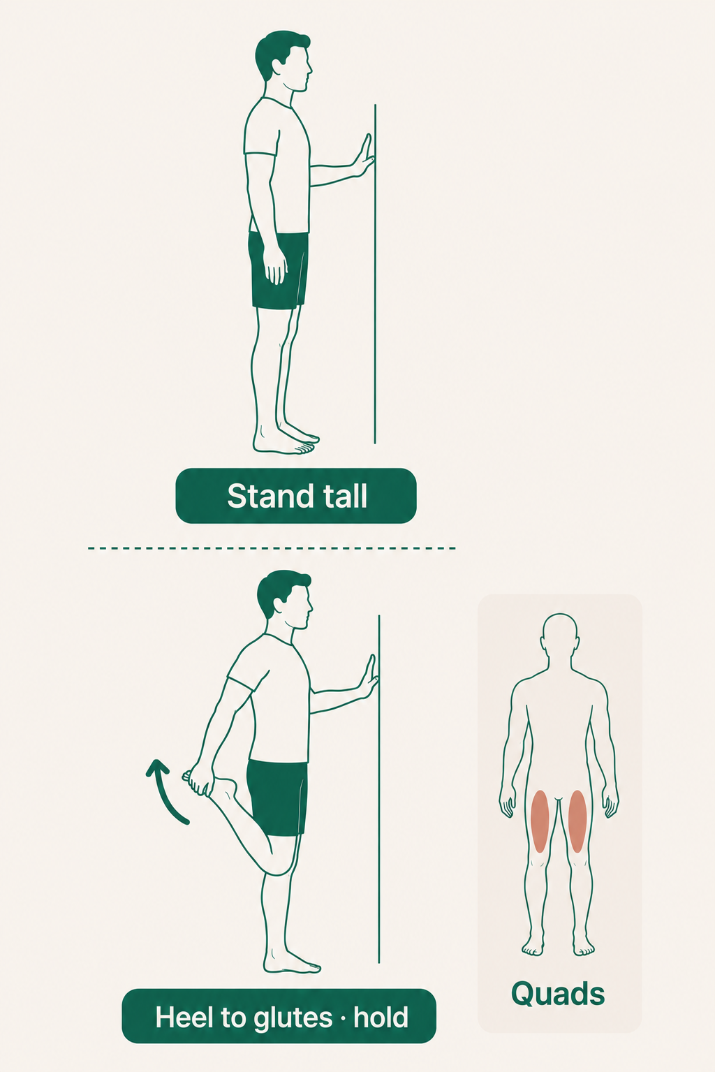 Standing Quadriceps Stretch