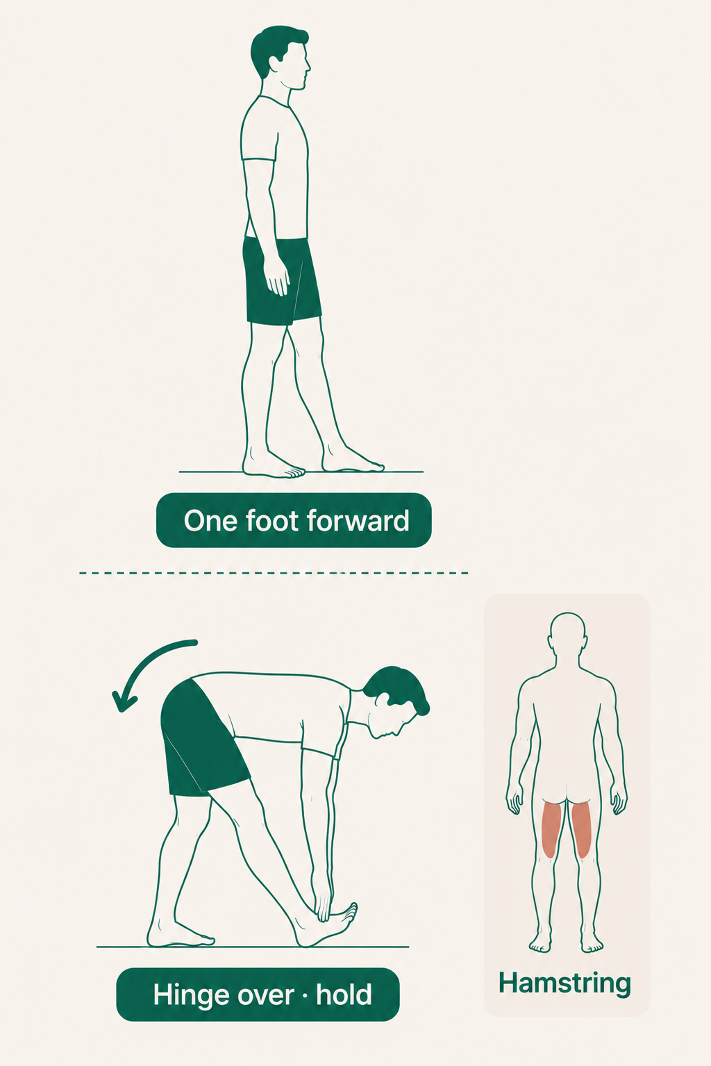 Standing Hamstring Stretch with Forward Fold